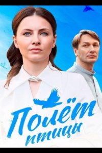 Полёт птицы