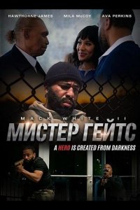 Мистер Гейтс